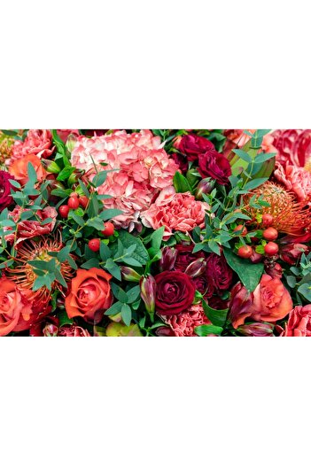 media Photo wallpaper Flowers156 Red floral arrangement, 300 x 200 cm