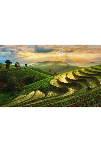 media Natura87 wallpaper, 250 x 200 cm