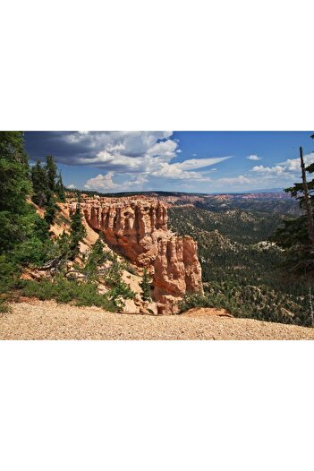 media Self-adhesive and washable wall mural Natura120, 270 x 200 cm