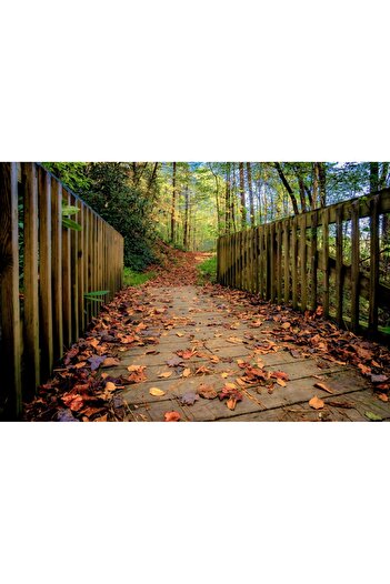 media Self-adhesive photo wallpaper Forest path, 270 x 200 cm