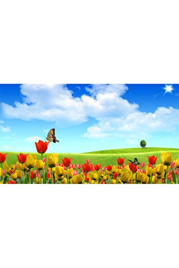 media Self-adhesive and washable wall mural Butterflies and tulips, 220 x 135 cm
