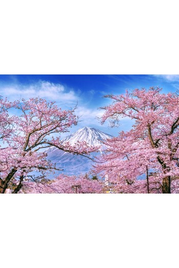 media Self-adhesive photo wallpaper Natura162 Mount Fuji and cherry blossoms, 270 x 200 cm