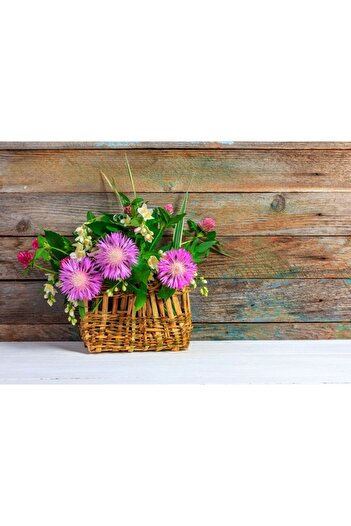media Wallpaper Flowers64, 300 x 250 cm