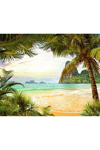 media Photo wallpaper Beach, palm trees, rocks, 250 x 200 cm
