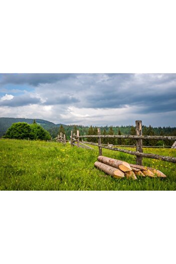 media Self-adhesive photo wallpaper Natura156 Meadows and forests, 220 x 135 cm