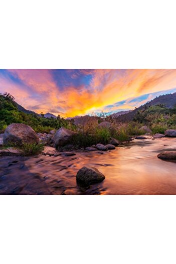 media Self-adhesive and washable wall mural Natura88, 270 x 200 cm