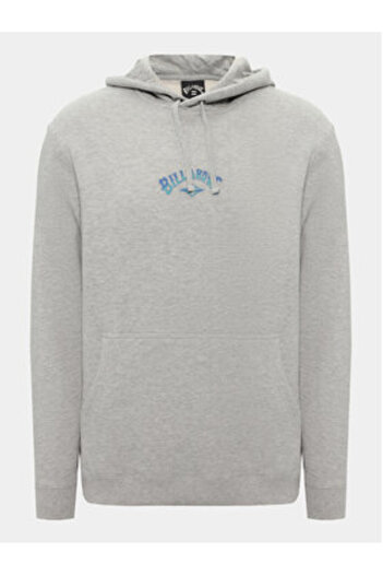 BİLLABONG billabong Mens Sweatshirt ABYFT00391 Gray