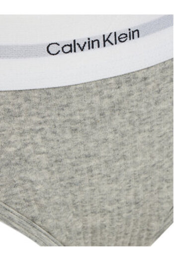Calvin Klein calvin klein underwear Women's Classic Briefs LV00QF8022 Gray
