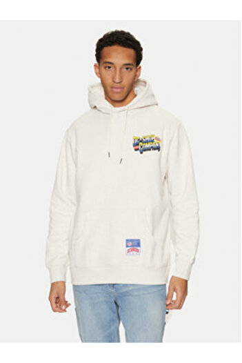 DC Mens Sweatshirt ADYSF03128-SCVW Gray