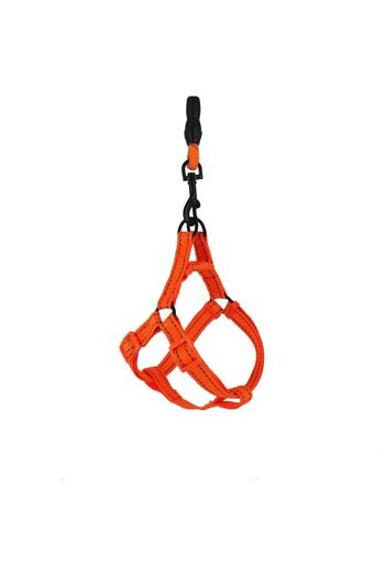 dogeo Chest Collar