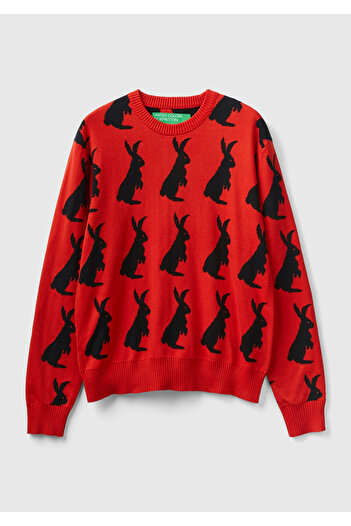 United Colors of Benetton Men's Red Cotton Sweater - Rabbit Pattern, Small