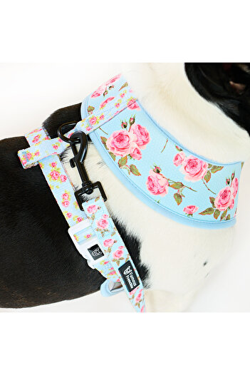 Famous Frenchie Lesa pentru caini, Famous Frenchie, Roses are Pink, 150 cm