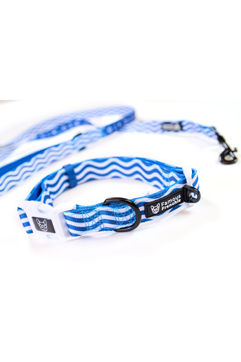 Famous Frenchie 3-piece set, collar, leash, dog bag accessory, Prince of the Sea