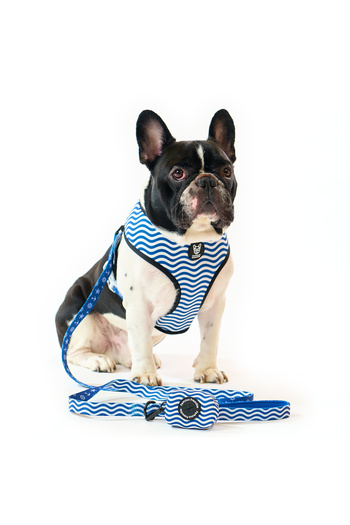 Famous Frenchie 3-piece set, reversible harness, leash, dog bag accessory, Prince of the Sea