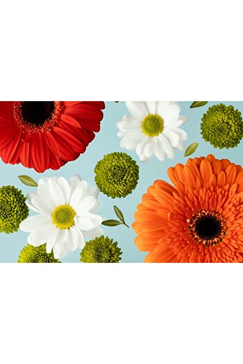 media Photo wallpaper Flowers162 Gerberas and daisies, 250 x 200 cm