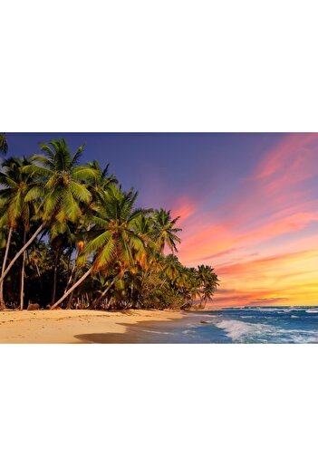 media Plaja67 self-adhesive photo wallpaper with palm trees at sunset, 220 x 135 cm