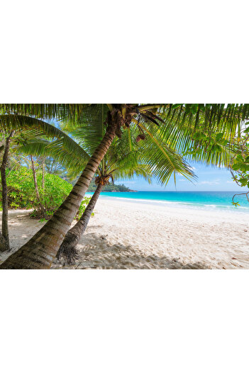 media Self-adhesive and washable wall mural In the shade of palm trees, 220 x 135 cm