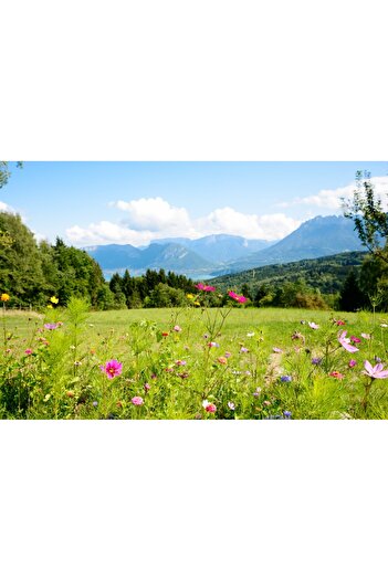 media Self-adhesive and washable wall mural Natura110, 270 x 200 cm