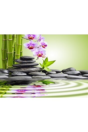 media Wall mural Basalt stones, orchids, bamboo, zen, 400 x 250 cm