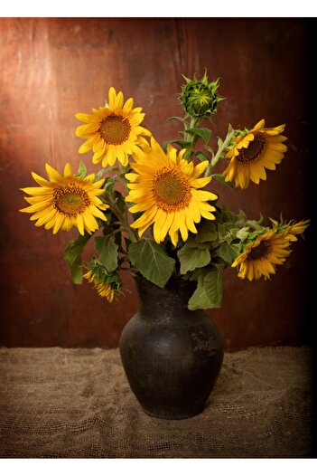 media Sunflower Bouquet Photo Wallpaper, 135 x 225 cm