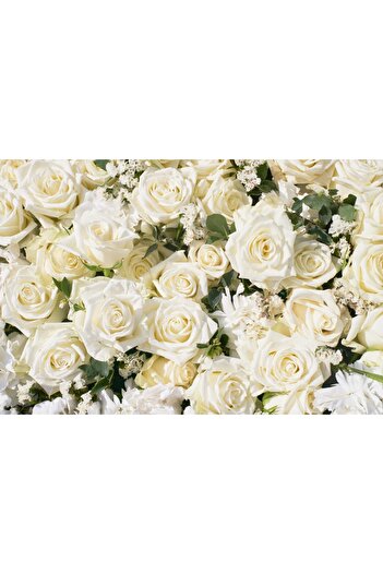 media Photo wallpaper Flowers173 White roses2, 300 x 200 cm