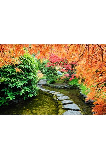 media Sticker Japanese Garden 2, 270 x 200 cm