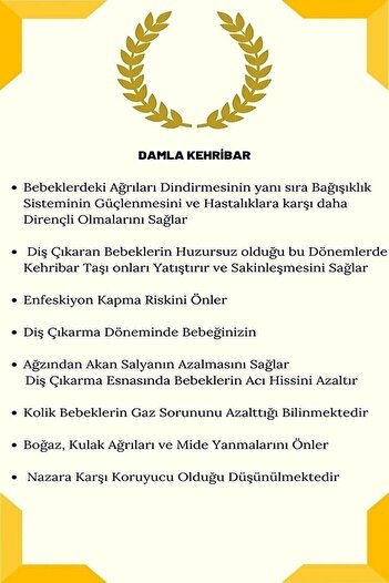 Kehribarkolyecimm Gümüş Damla Kehribar Konyak Renk Kolye
