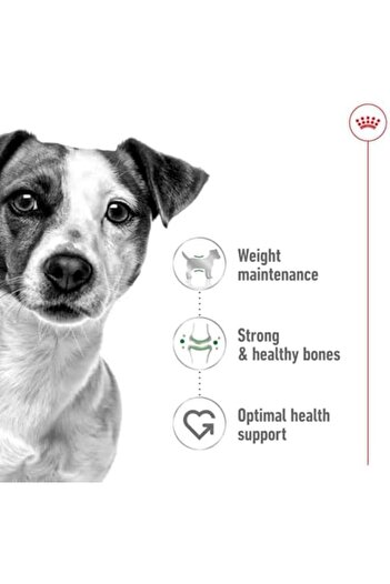 Royal Canin Size Health Nutrition Mini Adult Dry Dog Food - 2Kg
