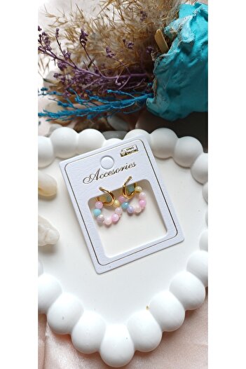 Jewerly Steel earrings