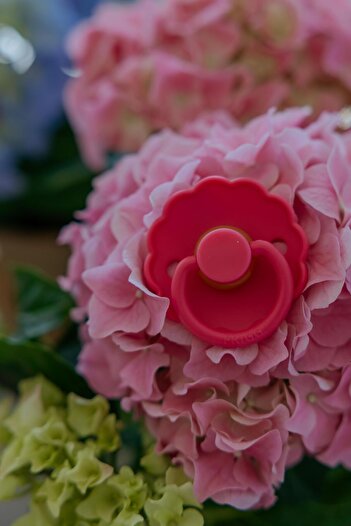 Frigg Daisy Kauçuk Emzik - Fuchsia 6-18 Ay