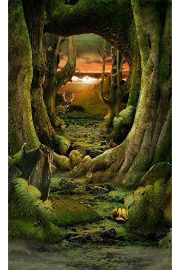 media Self-adhesive and washable wall mural Tunnel through the forest, 135 x 225 cm