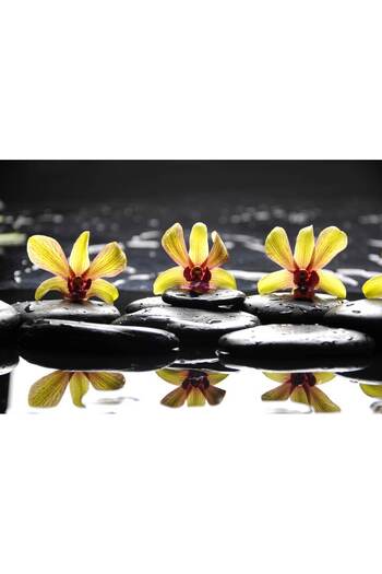 media Photo wallpaper Yellow orchids with stones, 400 x 250 cm