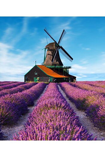 media Wallpaper Lavender8, 150 x 205 cm