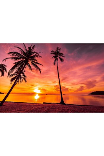 media Self-adhesive and washable wall mural Palmieri26, 270 x 200 cm