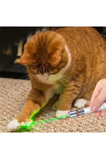 OEM Lantern with Green Laser Pointer LED, Stnqtsrv, USB, Black, 14 cm