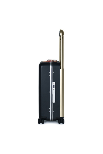 Shihon Sheyon 20-inch Premium Shatterproof Polycarbonate Luggage