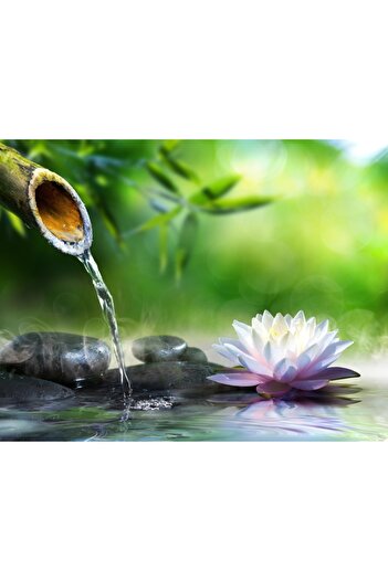 media Wall mural Basalt stones, water lily, bamboo, zen, 400 x 250 cm