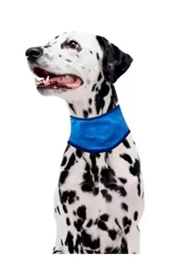 Pawise Cooler Dog Bandana m 38-46 cm