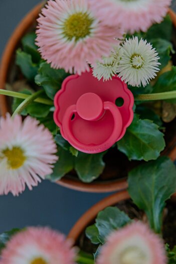 Frigg Daisy Kauçuk Emzik - Fuchsia 6-18 Ay