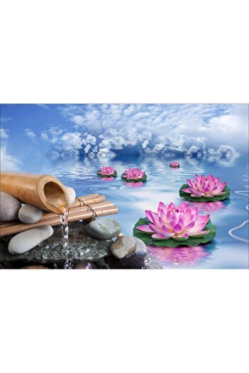 media Sticker Pink water lilies on the lake, 270 x 200 cm