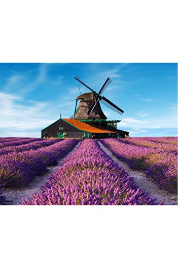 media Lavender8 sticker, 220 x 135 cm