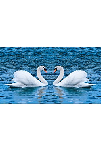 media Sticker Swans on the lake, 270 x 200 cm