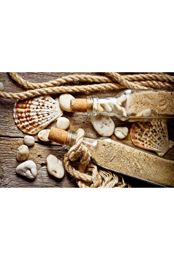 media Self-adhesive and washable wall mural Sand, shells, stones, 270 x 200 cm