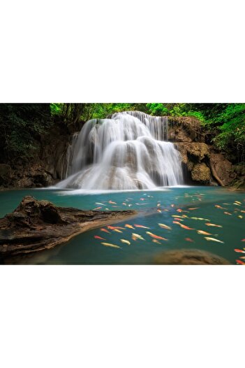 media Self-adhesive and washable wall mural Waterfall with fish, 220 x 135 cm