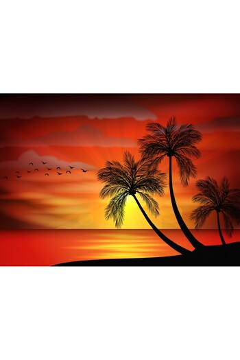 media Wallpaper Palm trees12, 250 x 200 cm