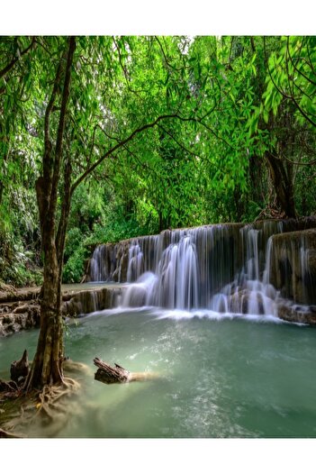 media Photo wallpaper Cascada44 Waterfalls in the green forest, 150 x 205 cm
