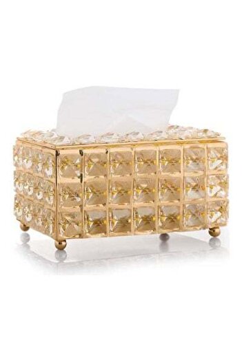 HALAMODO Tissue Storage Box Gold 19x11x10cm