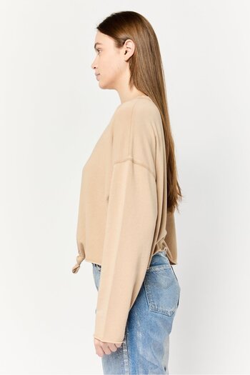 aerie Women Crew Neck Plain Tops, Tan