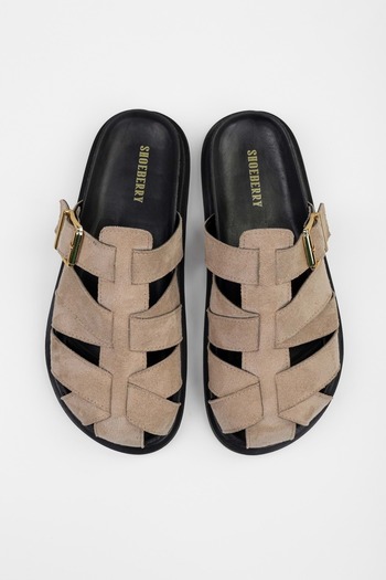 Shoeberry Γυναικείες παντόφλες Vion Mink Suede με λεπτομέρεια με αγκράφα