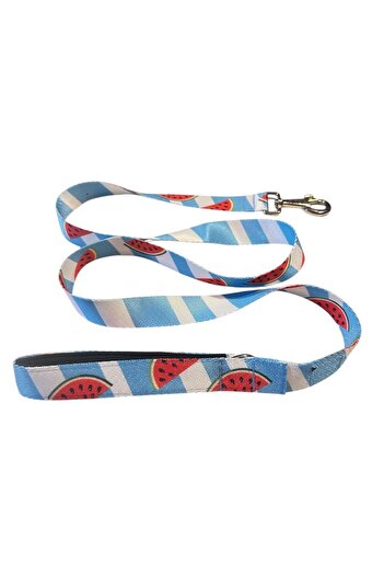 collars and paws C&P Watermelon Dog Walking Strap 120 cm X 2.5 cm